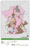 D10-Tenencia-de-la-tierra-municipal-2008